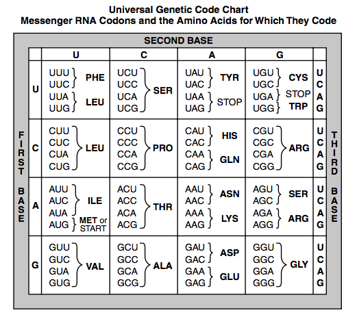 DNA table