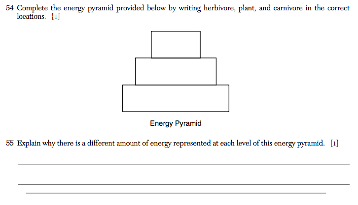 Energy Pryamid