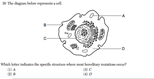 Regents Question